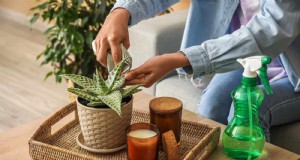 25 slimme kamerplant-hacks voor bloeiende planten | Depositphotos 