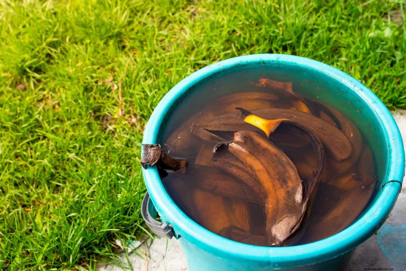 25 slimme kamerplant-hacks voor bloeiende planten | Depositphotos 