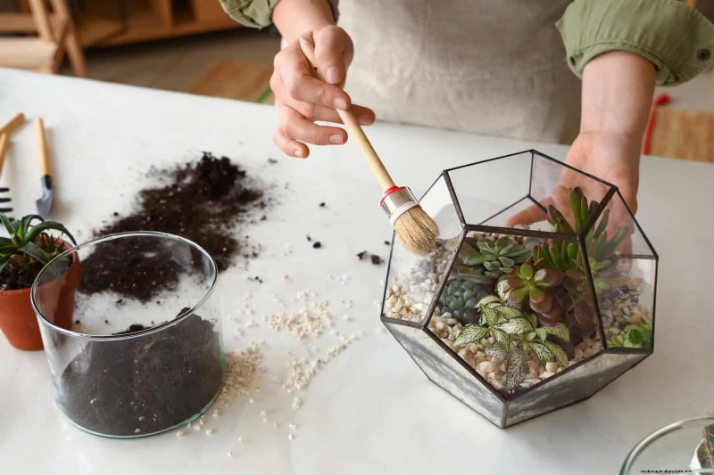 25 slimme kamerplant-hacks voor bloeiende planten | Depositphotos 