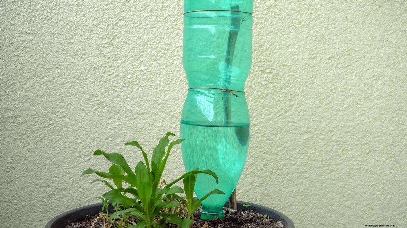 25 slimme kamerplant-hacks voor bloeiende planten | Depositphotos 