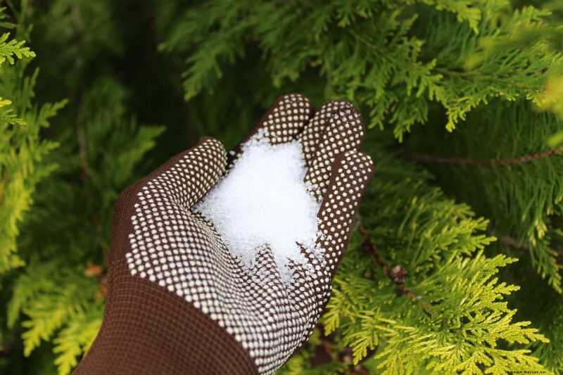 25 slimme kamerplant-hacks voor bloeiende planten | Depositphotos 