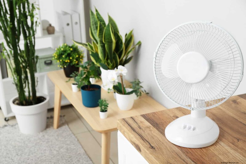 25 slimme kamerplant-hacks voor bloeiende planten | Depositphotos 