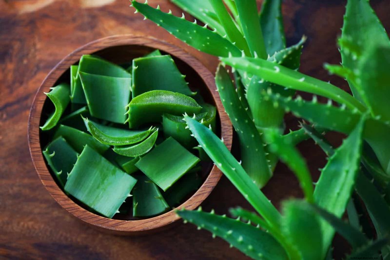 25 slimme kamerplant-hacks voor bloeiende planten | Depositphotos 