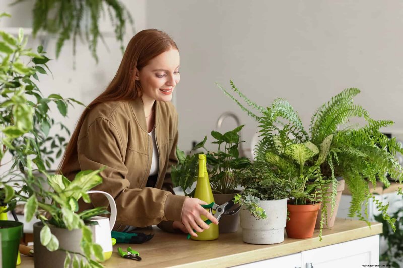 25 slimme kamerplant-hacks voor bloeiende planten | Depositphotos 