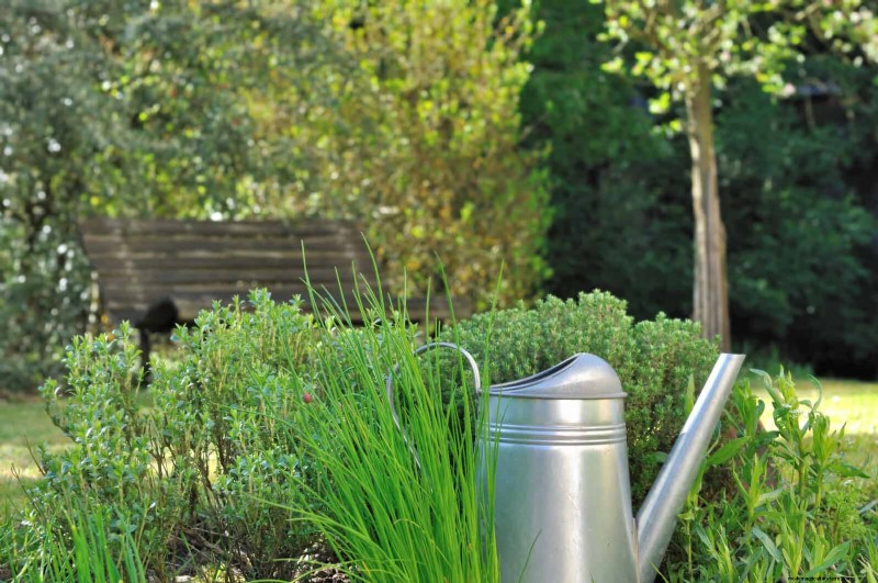 Schadelijke plantencombinaties:vermijd deze 21 tuincombinaties 