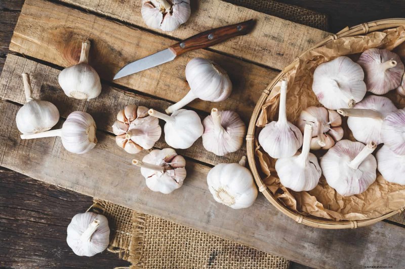 Proteja sus Hostas:métodos rápidos de control de babosas 