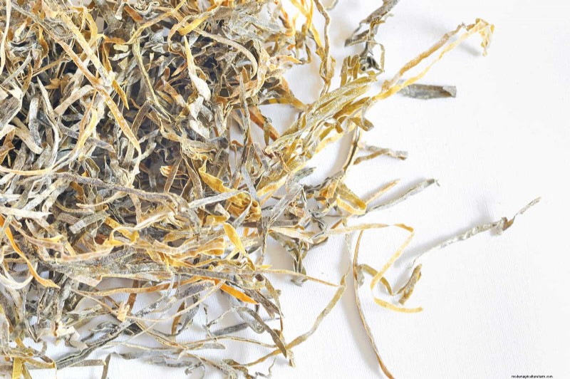 Proteja sus Hostas:métodos rápidos de control de babosas 