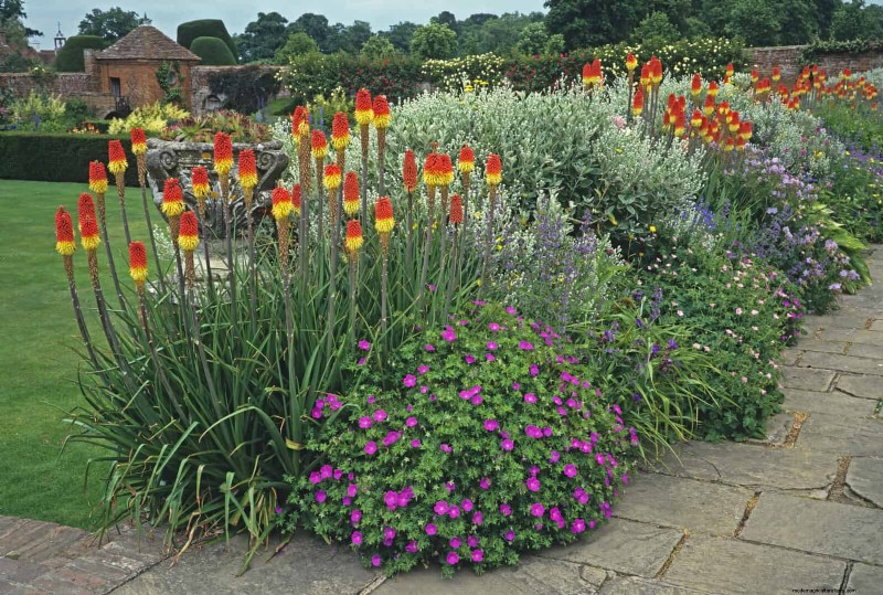 耐暑性の植物：日当たりの良い庭に適した25の実証済みの選択肢 