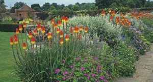 Plantas tolerantes al calor:25 opciones comprobadas para jardines soleados 