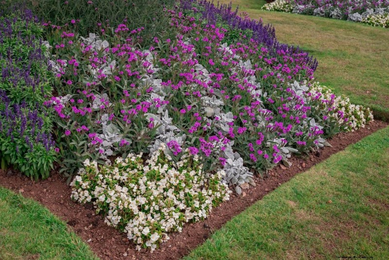 Lebender Mulch:Die unverzichtbare Frühlingsgartenschicht für Gesundheit und Produktivität 