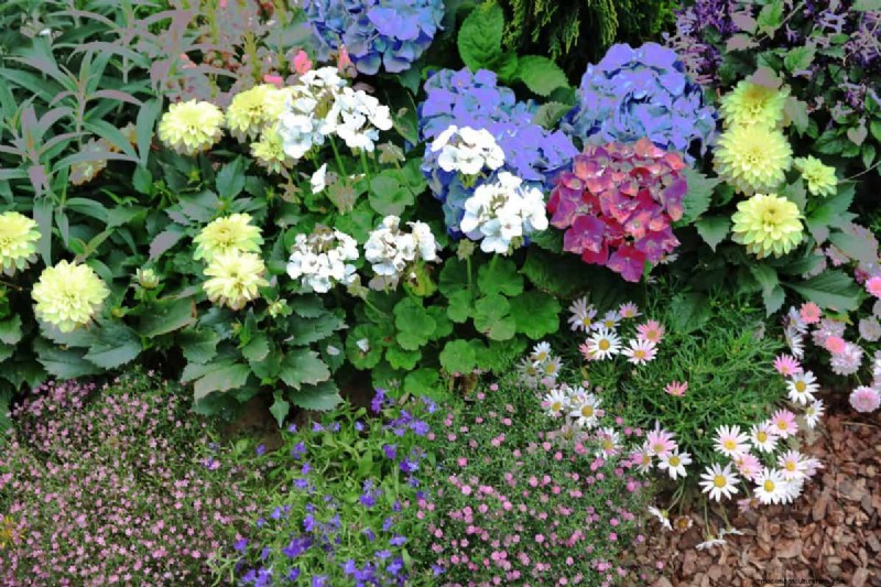 Lebender Mulch:Die unverzichtbare Frühlingsgartenschicht für Gesundheit und Produktivität 