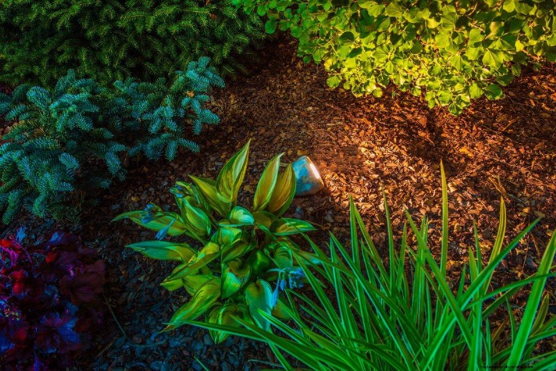 Nachtbewässerung:Vor- und Nachteile für Ihren Garten 