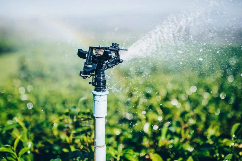 Nachtbewässerung:Vor- und Nachteile für Ihren Garten 