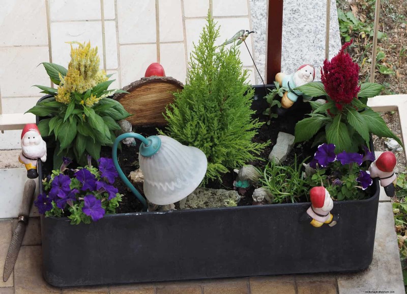 Verzorging van containerplanten:22 decoratieve elementen om te vermijden 
