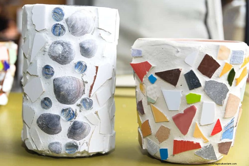 Verzorging van containerplanten:22 decoratieve elementen om te vermijden 