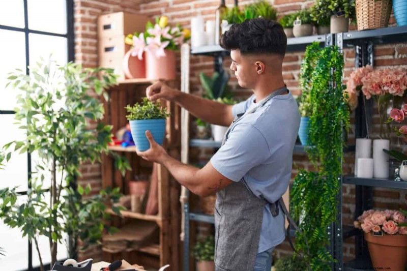 屋内植物の手入れ:避けるべき水やりの 25 の間違い 