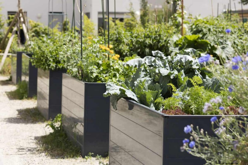 25 idee creative per i bordi del giardino per migliorare l attrattiva del marciapiede 