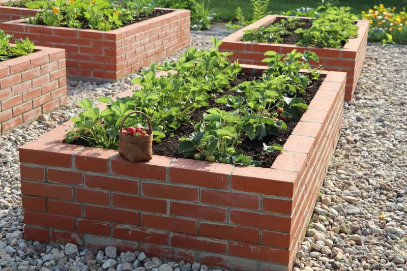25 idee creative per i bordi del giardino per migliorare l attrattiva del marciapiede 