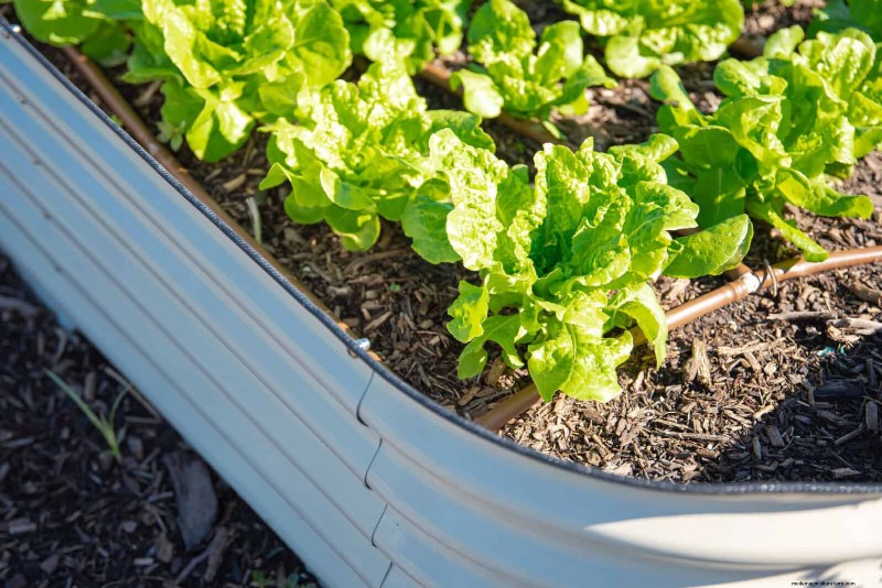 25 idee creative per i bordi del giardino per migliorare l attrattiva del marciapiede 