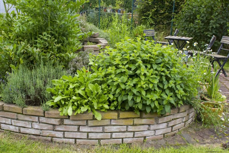 25 idee creative per i bordi del giardino per migliorare l attrattiva del marciapiede 