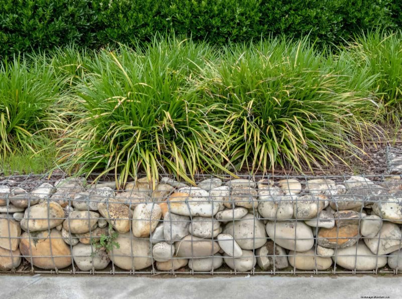 25 idee creative per i bordi del giardino per migliorare l attrattiva del marciapiede 