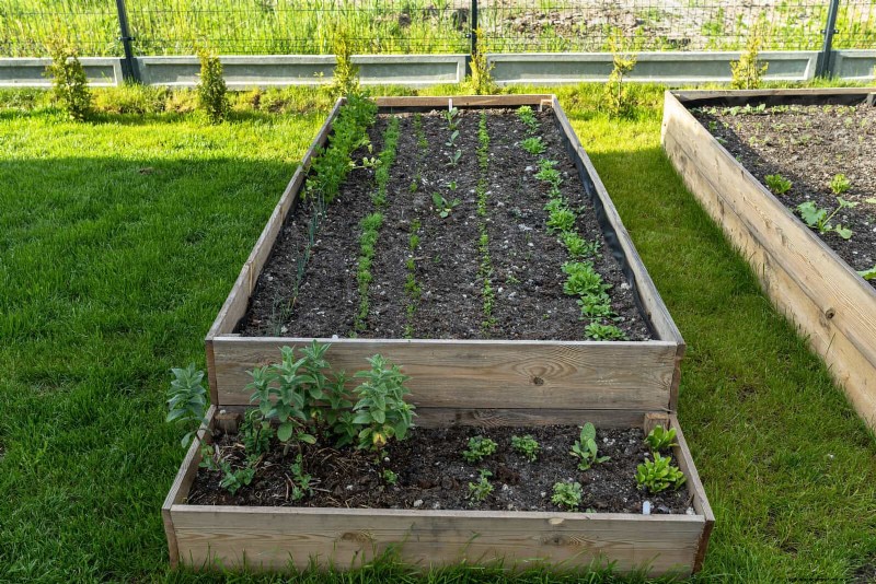 25 idee creative per i bordi del giardino per migliorare l attrattiva del marciapiede 