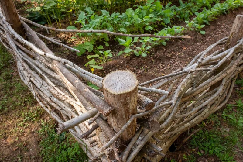 25 idee creative per i bordi del giardino per migliorare l attrattiva del marciapiede 