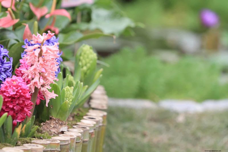 25 idee creative per i bordi del giardino per migliorare l attrattiva del marciapiede 