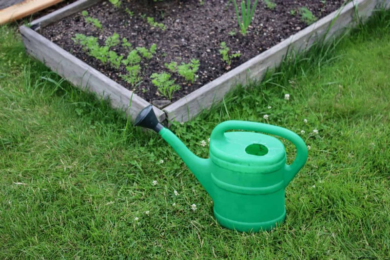25 idee creative per i bordi del giardino per migliorare l attrattiva del marciapiede 