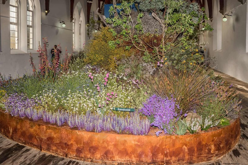 25 idee creative per i bordi del giardino per migliorare l attrattiva del marciapiede 