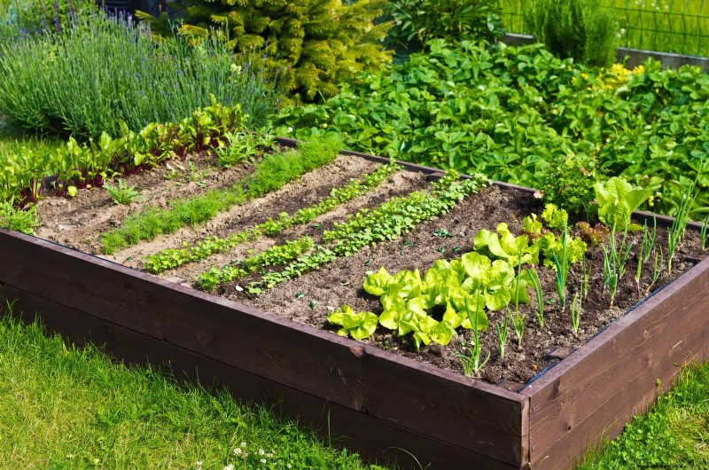 25 idee creative per i bordi del giardino per migliorare l attrattiva del marciapiede 