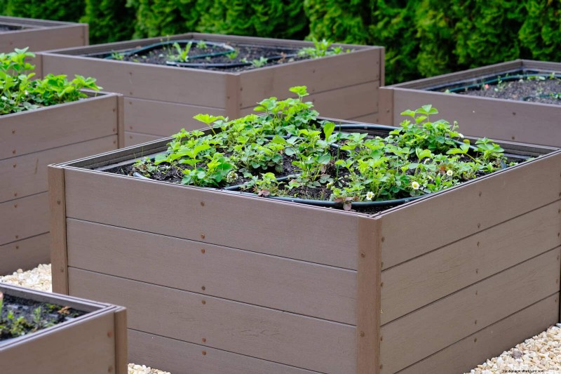 25 idee creative per i bordi del giardino per migliorare l attrattiva del marciapiede 