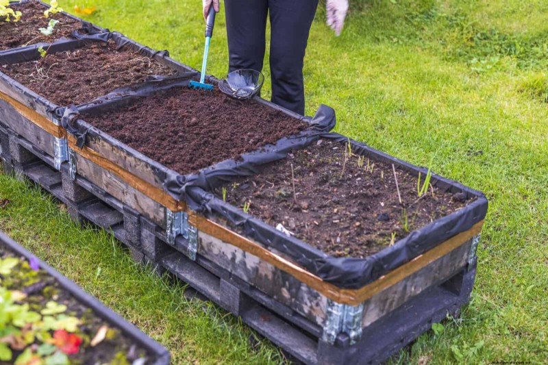 25 idee creative per i bordi del giardino per migliorare l attrattiva del marciapiede 
