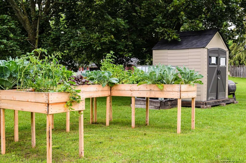 25 idee creative per i bordi del giardino per migliorare l attrattiva del marciapiede 