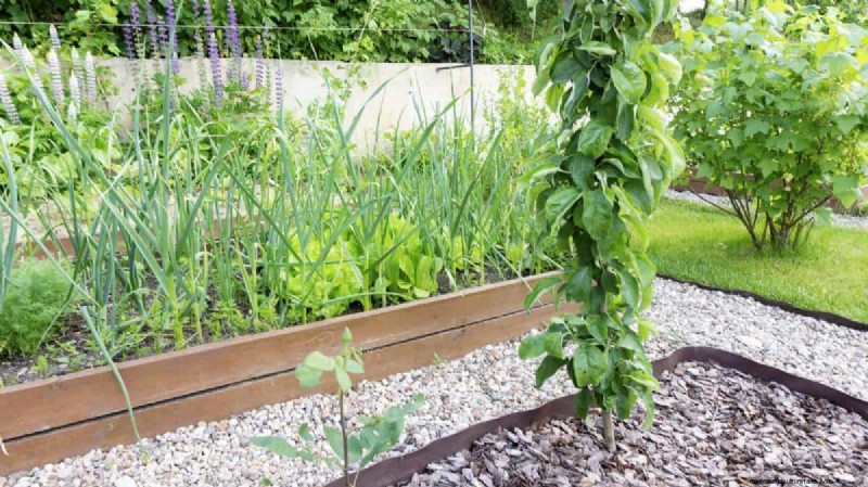 25 idee creative per i bordi del giardino per migliorare l attrattiva del marciapiede 