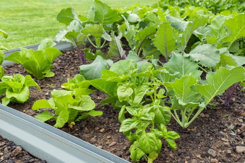 25 idee creative per i bordi del giardino per migliorare l attrattiva del marciapiede 