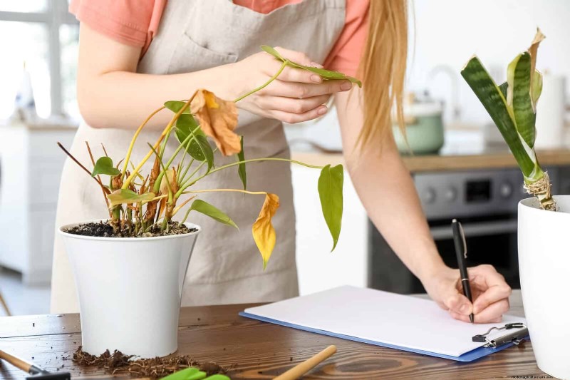 Bladkleuren decoderen:stresssignalen van planten begrijpen 