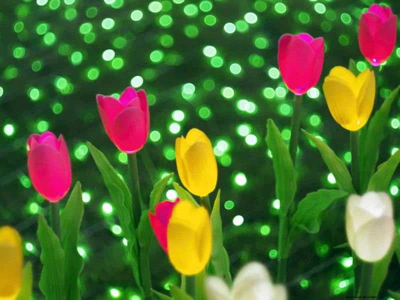 Ideeën voor buitenverlichting:transformeer uw tuin in het donker | Depositphotos 