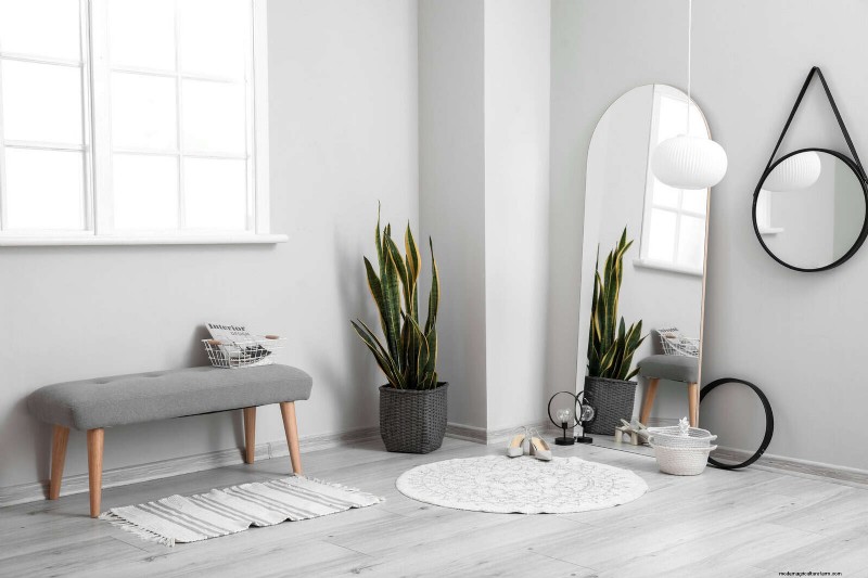 Schaduwrijke hoeken transformeren:een complete gids voor het stylen en verzorgen van planten 
