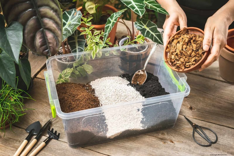 Schaduwrijke hoeken transformeren:een complete gids voor het stylen en verzorgen van planten 