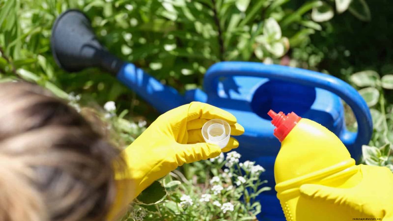 Schaduwrijke hoeken transformeren:een complete gids voor het stylen en verzorgen van planten 