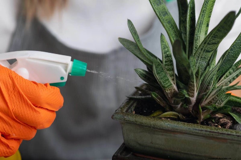 過剰な植え替えの隠れた危険:待つべき25の理由 