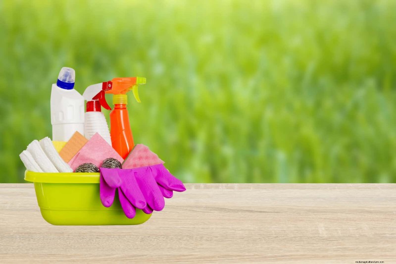 植物の葉をきれいにする方法:光合成を強化するための 26 のヒント 