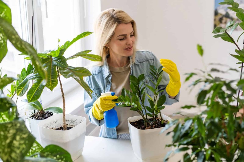 植物の葉をきれいにする方法:光合成を強化するための 26 のヒント 