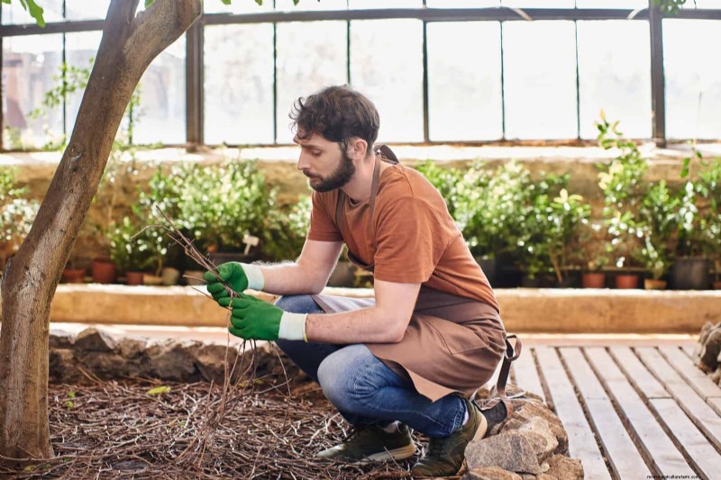 Feuersichere Gartenarbeit:18 häufige Fehler, die Sie vermeiden sollten 