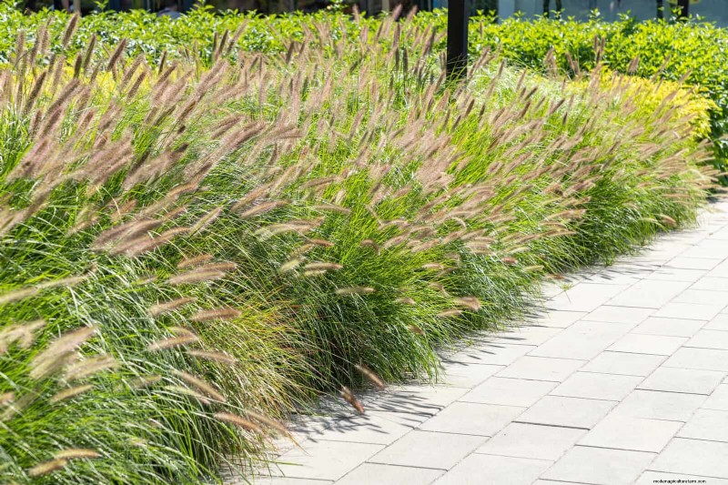 Feuersichere Gartenarbeit:18 häufige Fehler, die Sie vermeiden sollten 