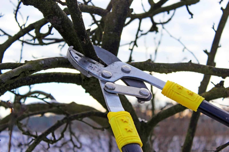 Feuersichere Gartenarbeit:18 häufige Fehler, die Sie vermeiden sollten 