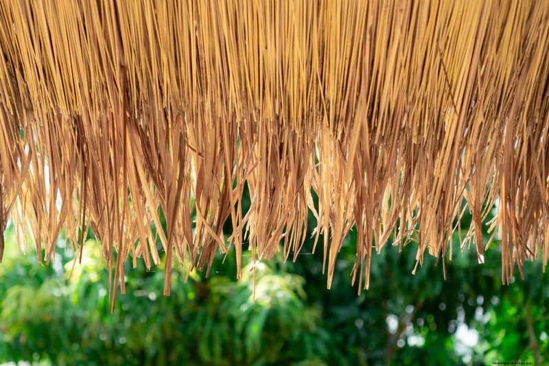 Feuersichere Gartenarbeit:18 häufige Fehler, die Sie vermeiden sollten 
