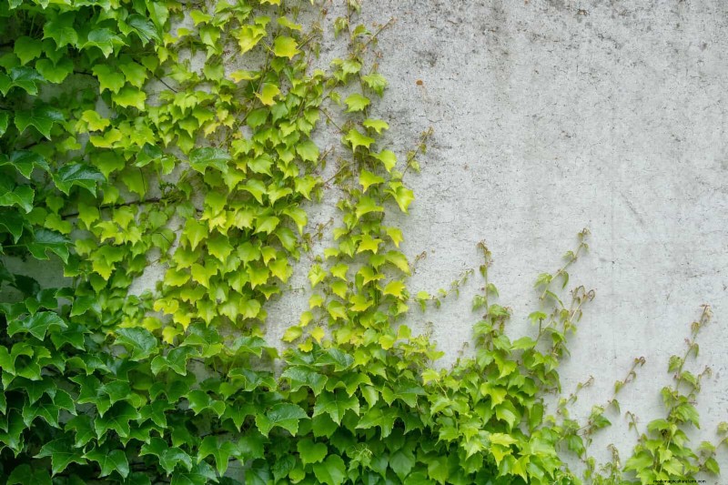Feuersichere Gartenarbeit:18 häufige Fehler, die Sie vermeiden sollten 