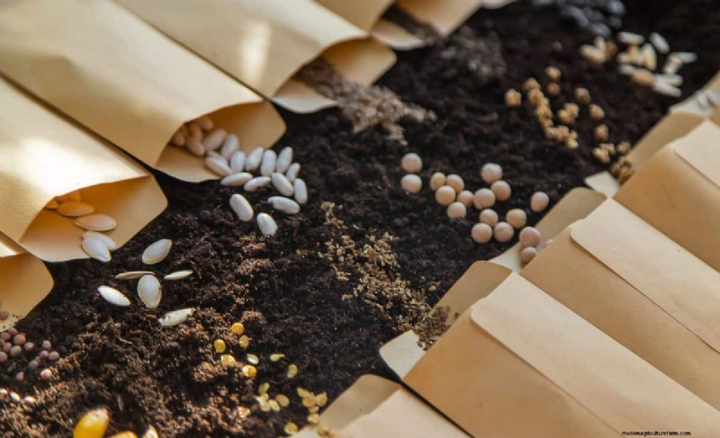 Risoluzione dei problemi di germinazione dei semi primaverili:21 problemi e soluzioni comuni 